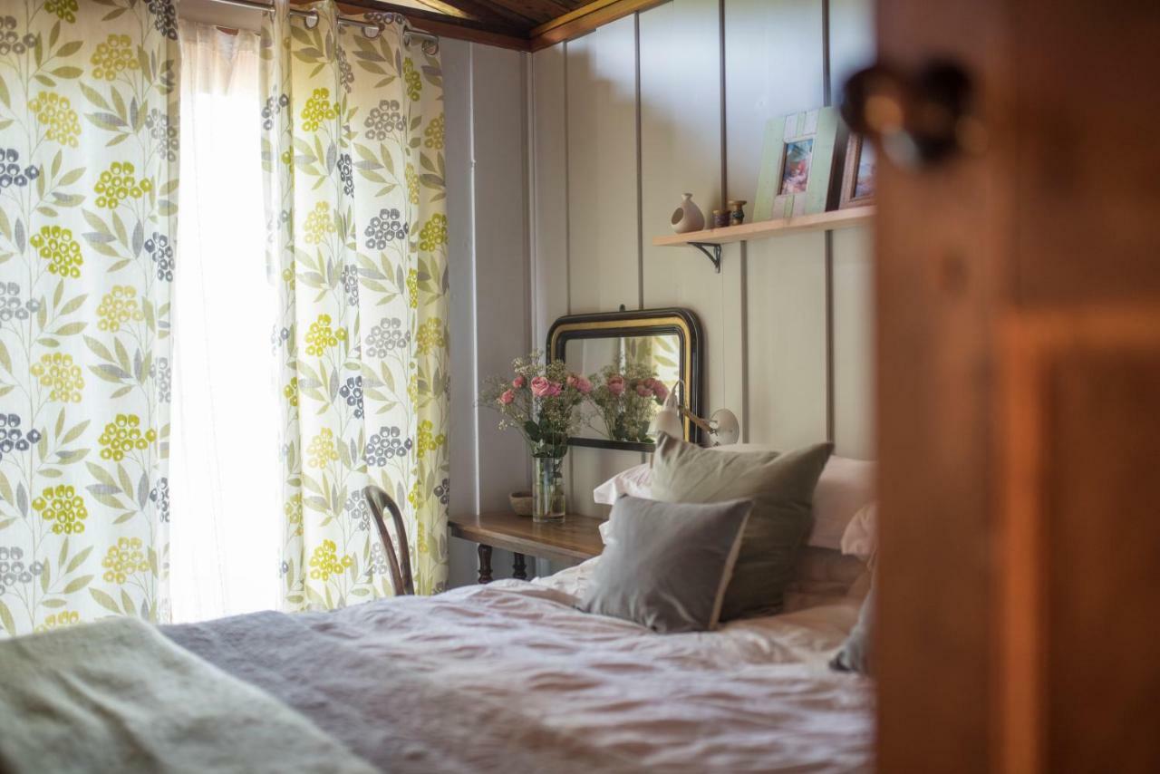 Little Kestrel Cabin Pennal Εξωτερικό φωτογραφία